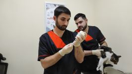 Bakıda açılan Cənubi Qafqazın ilk böyük Baytarlıq Klinikası tam gücü ilə fəaliyyətdədir - Trend TV-nin REPORTAJI (FOTO/VİDEO)