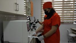 Bakıda açılan Cənubi Qafqazın ilk böyük Baytarlıq Klinikası tam gücü ilə fəaliyyətdədir - Trend TV-nin REPORTAJI (FOTO/VİDEO)