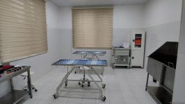 Bakıda açılan Cənubi Qafqazın ilk böyük Baytarlıq Klinikası tam gücü ilə fəaliyyətdədir - Trend TV-nin REPORTAJI (FOTO/VİDEO)
