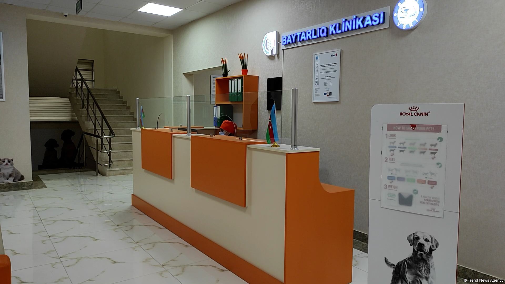 Bakıda açılan Cənubi Qafqazın ilk böyük Baytarlıq Klinikası tam gücü ilə fəaliyyətdədir - Trend TV-nin REPORTAJI (FOTO/VİDEO)