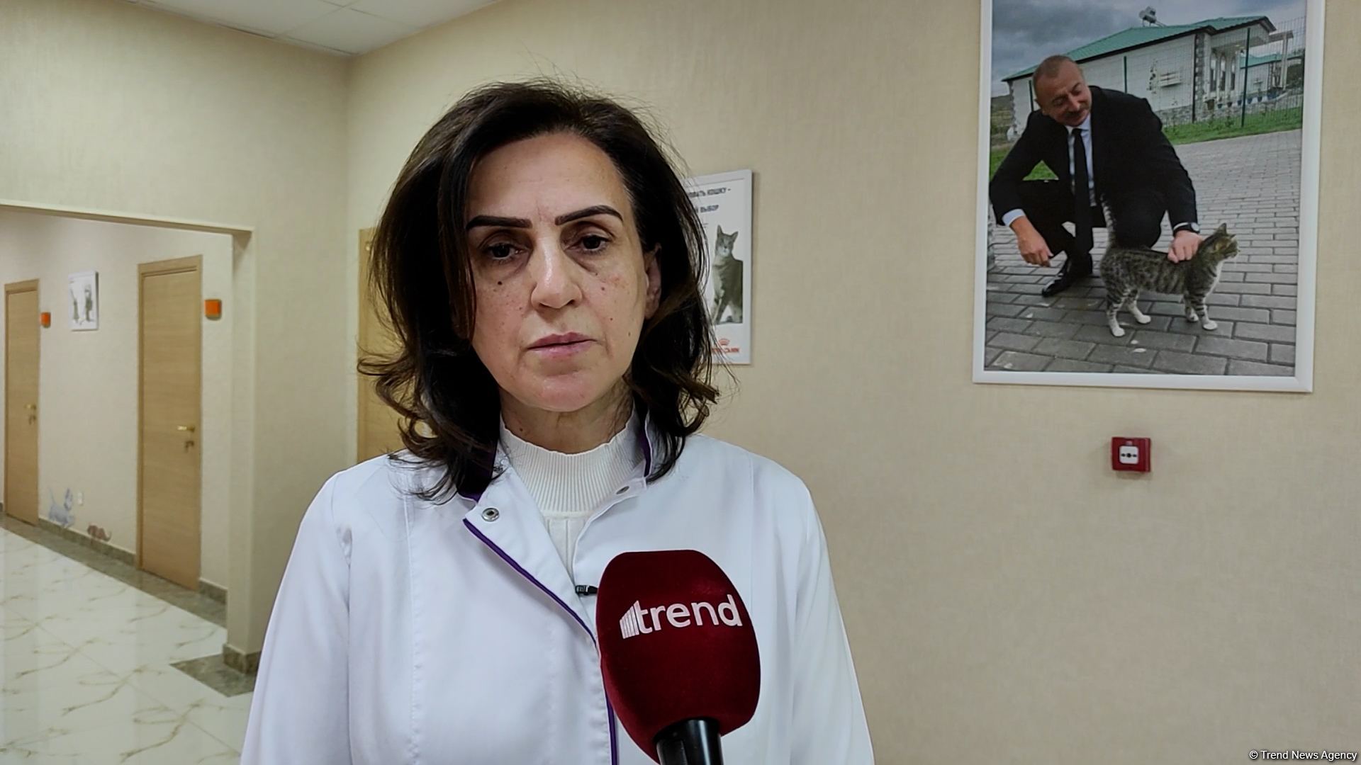 Bakıda açılan Cənubi Qafqazın ilk böyük Baytarlıq Klinikası tam gücü ilə fəaliyyətdədir - Trend TV-nin REPORTAJI (FOTO/VİDEO)
