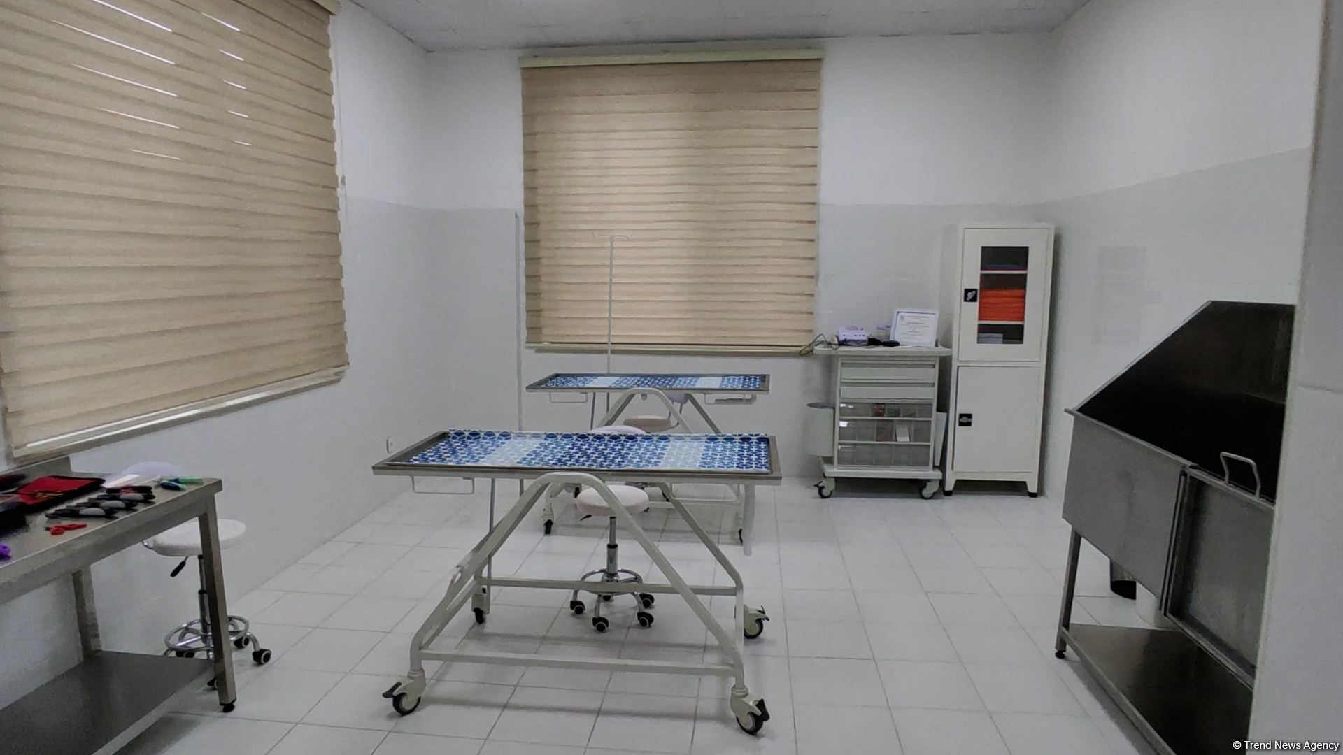 Bakıda açılan Cənubi Qafqazın ilk böyük Baytarlıq Klinikası tam gücü ilə fəaliyyətdədir - Trend TV-nin REPORTAJI (FOTO/VİDEO)