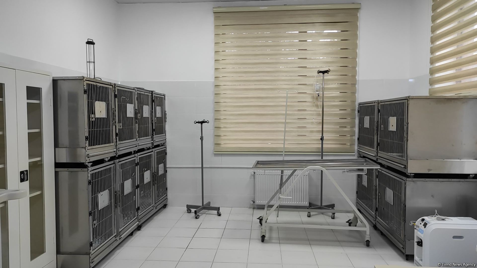 Bakıda açılan Cənubi Qafqazın ilk böyük Baytarlıq Klinikası tam gücü ilə fəaliyyətdədir - Trend TV-nin REPORTAJI (FOTO/VİDEO)