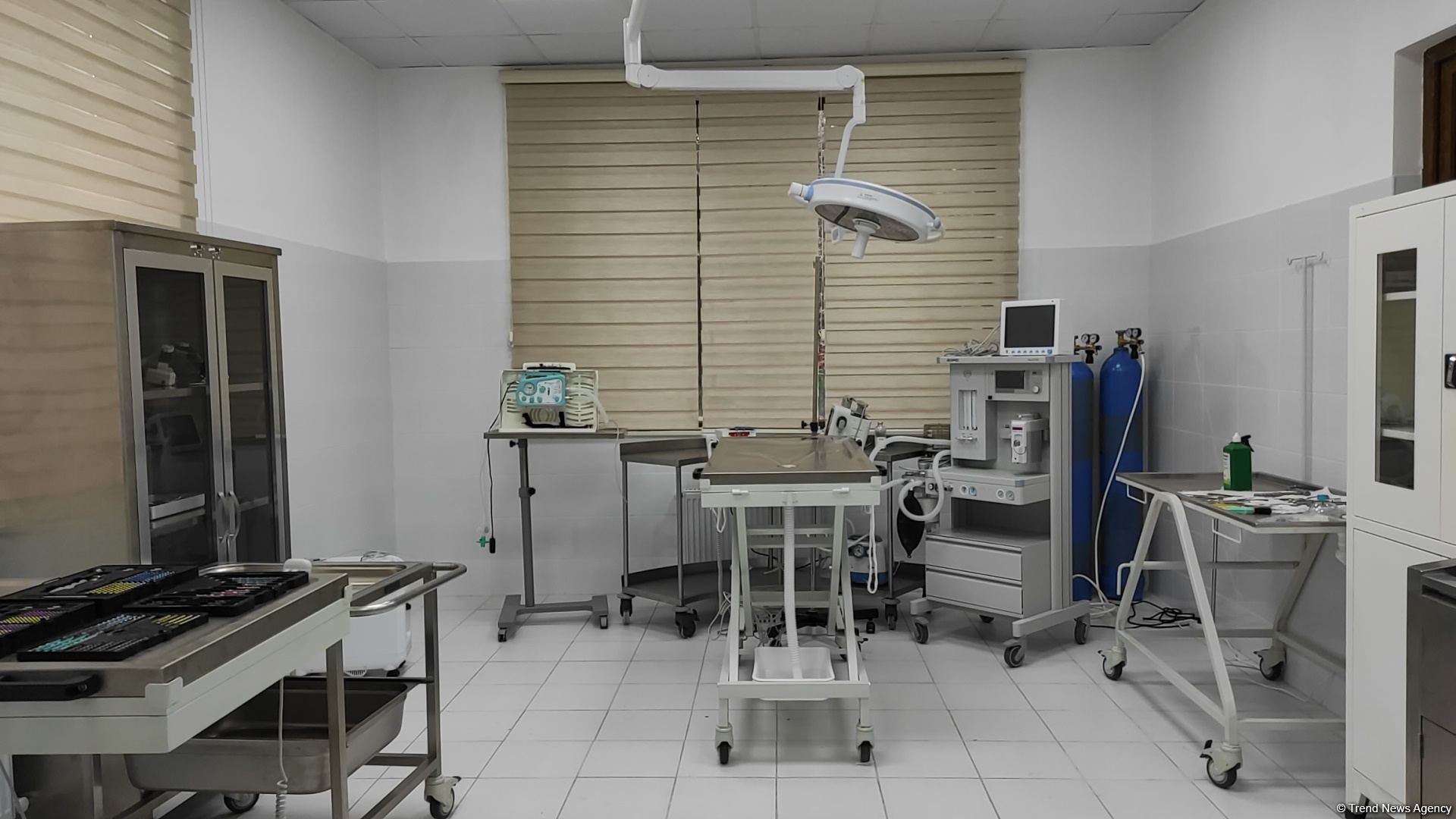 Bakıda açılan Cənubi Qafqazın ilk böyük Baytarlıq Klinikası tam gücü ilə fəaliyyətdədir - Trend TV-nin REPORTAJI (FOTO/VİDEO)