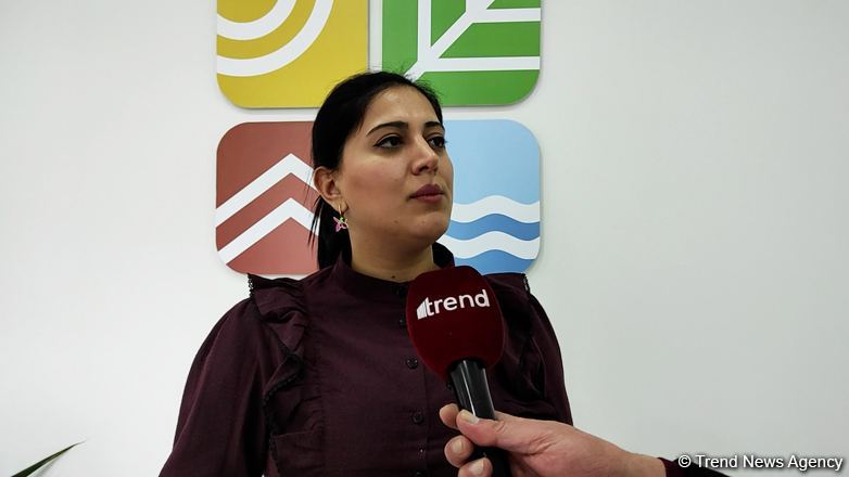 Milli Parklardakı son vəziyyət açıqlanıb (MÜSAHİBƏ) (VİDEO)