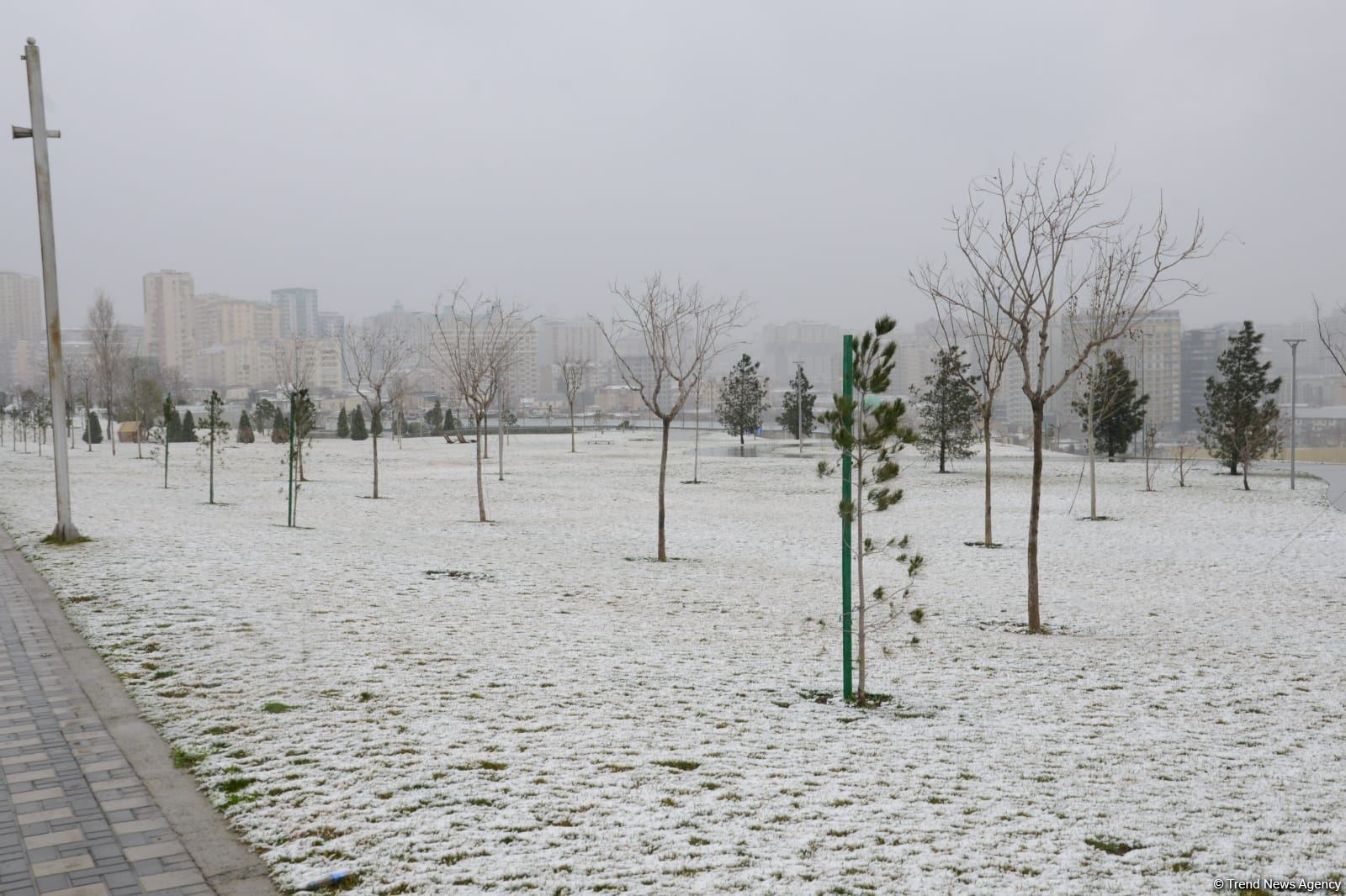 Sabah Bakıda sulu qar yağacaq, külək əsəcək