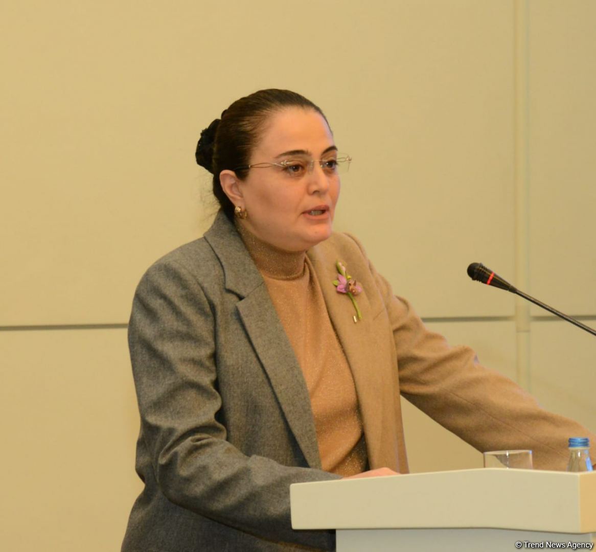 Vətən Müharibəsində Azərbaycan xalqının Zəfərinə həsr olunmuş 
“zefer.az” saytının təqdimatı keçirilib (FOTO)