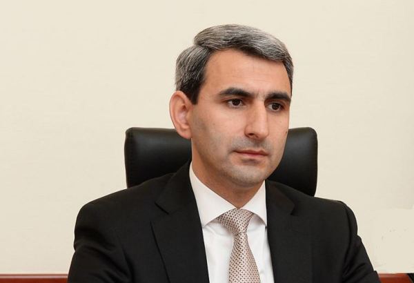 Təhrif olunmuş xəritələrlə bağlı tədbirlər planı hazırlanıb - Nazir müavini