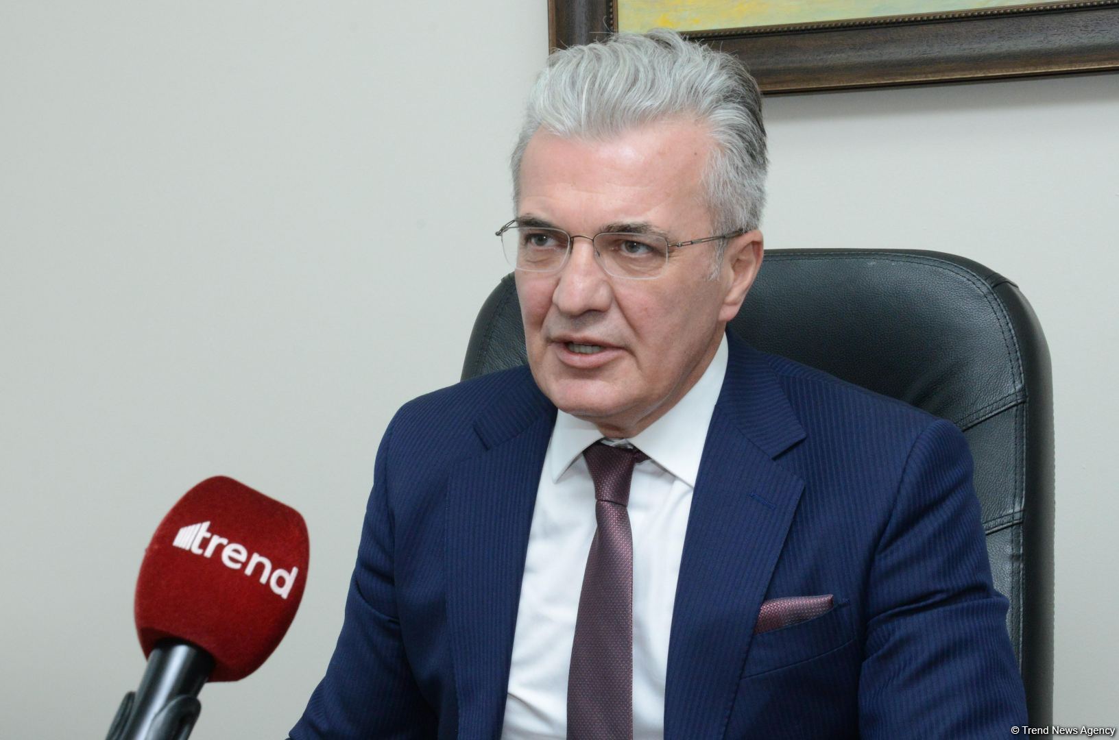 Xorvatiya şirkətləri Azərbaycanın işğaldan azad edilmiş ərazilərinə investisiya imkanları ilə bağlı danışıqlar aparır - Səfir (Müsahibə) (FOTO)