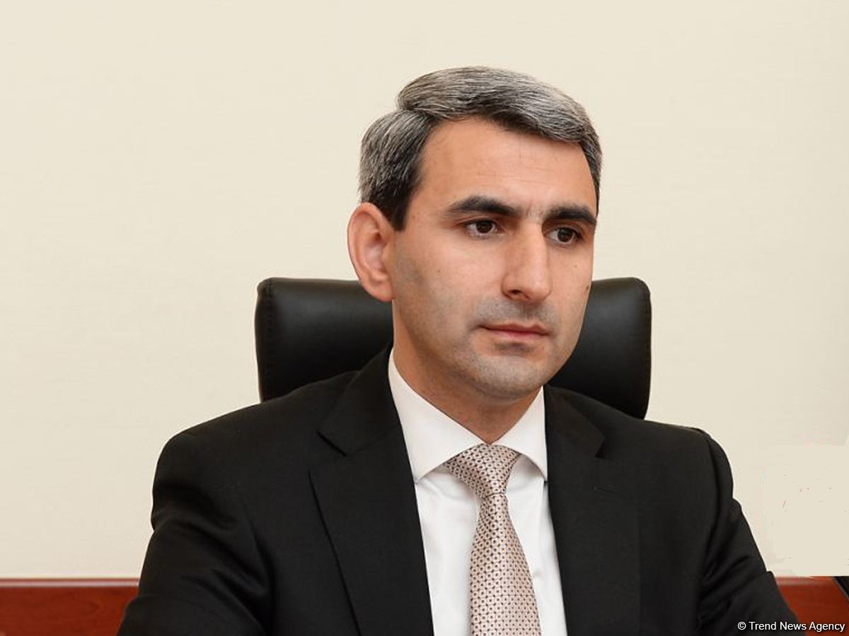 Təhrif olunmuş xəritələrlə bağlı tədbirlər planı hazırlanıb - Nazir müavini