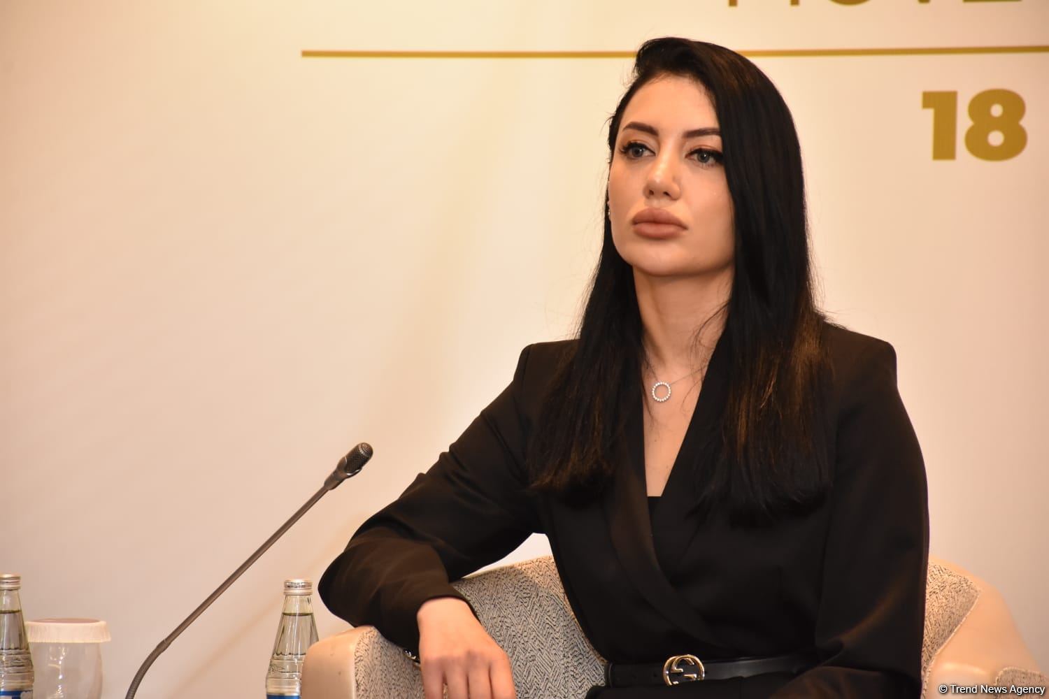 Kiçik və orta biznes subyektlərinə kənd təsərrüfatı sahəsində verilən kreditlərin həcmi açıqlanıb