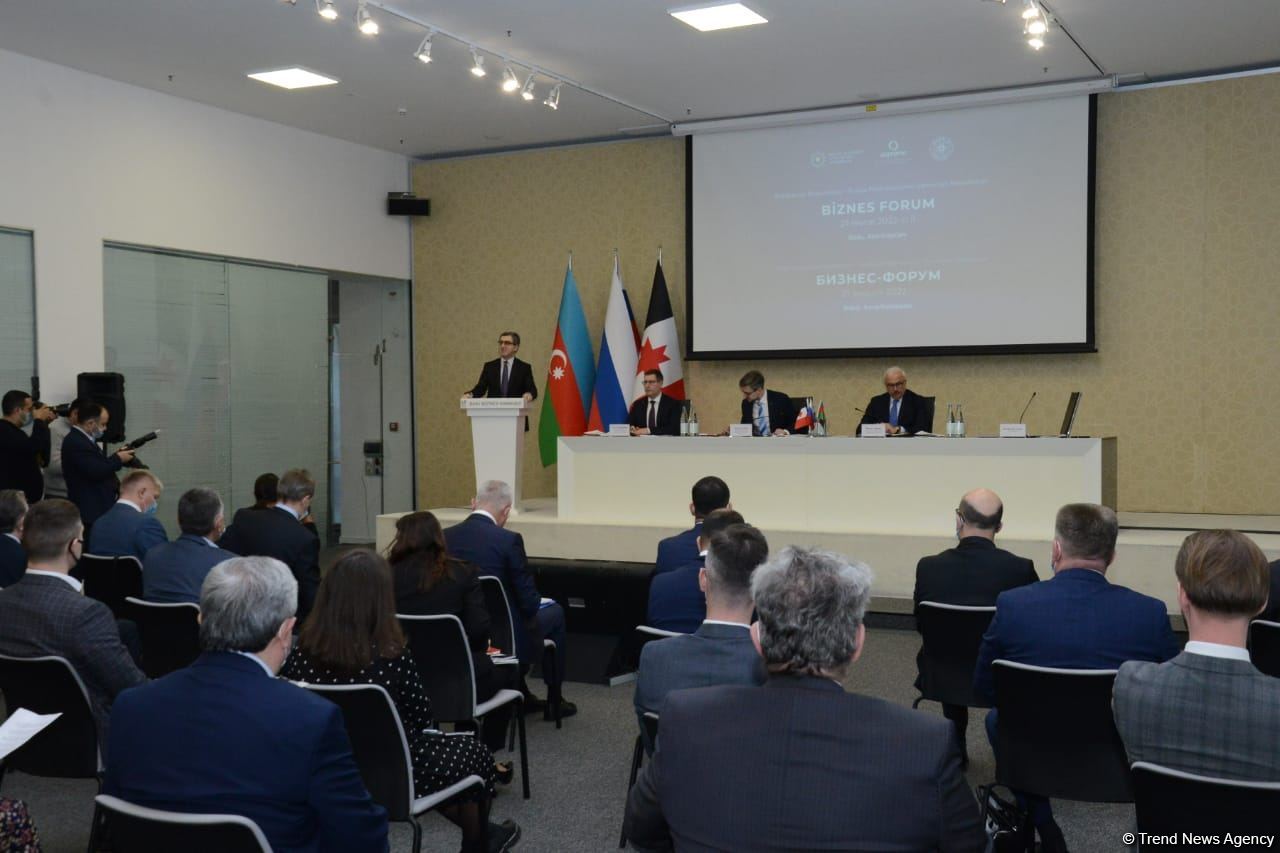 Rusiyanın Azərbaycana investisiyalarının həcmi açıqlanıb (FOTO)