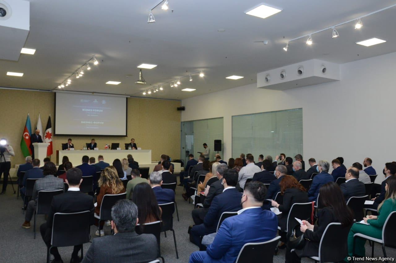 Rusiyanın Azərbaycana investisiyalarının həcmi açıqlanıb (FOTO)