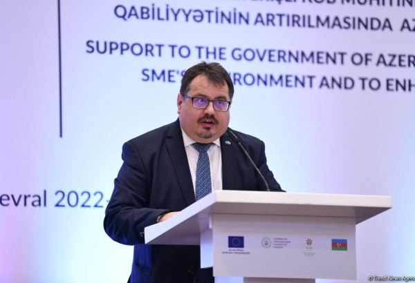 Aİ-nin Azərbaycandakı nümayəndəliyi ölkə biznesinə maliyyə yardımı göstərəcək - Peter Mixalko