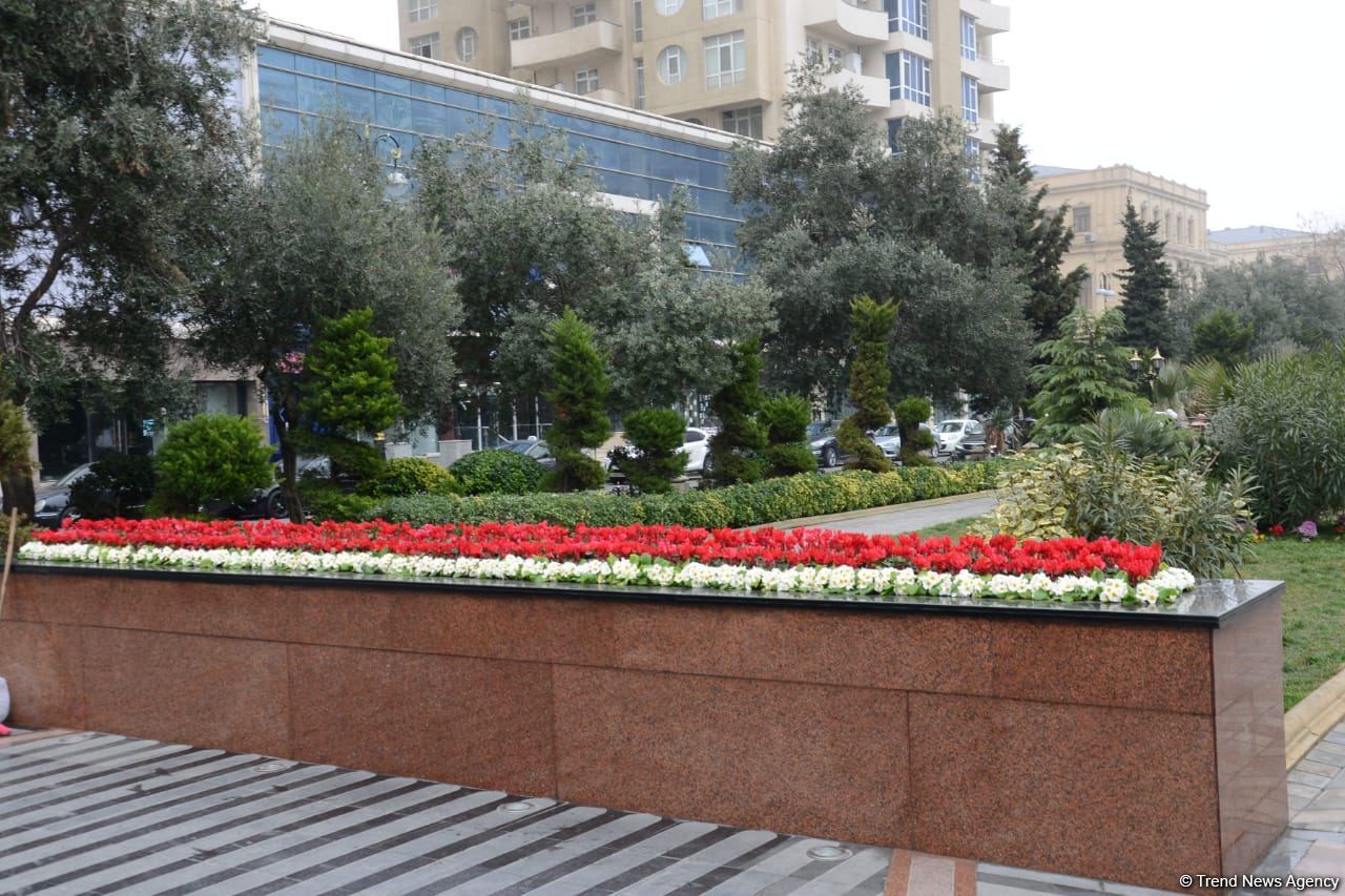 Vətəndaşlar "Ana fəryadı" abidəsini ziyarət etməyə başlayıblar (FOTO)