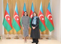 Birinci vitse-prezident Mehriban Əliyeva Böyük Britaniya Baş nazirinin Azərbaycan üzrə ticarət elçisi ilə görüşüb (FOTO/VİDEO)