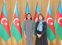 Birinci vitse-prezident Mehriban Əliyeva Böyük Britaniya Baş nazirinin Azərbaycan üzrə ticarət elçisi ilə görüşüb (FOTO/VİDEO)