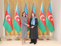 Birinci vitse-prezident Mehriban Əliyeva Böyük Britaniya Baş nazirinin Azərbaycan üzrə ticarət elçisi ilə görüşüb (FOTO/VİDEO)