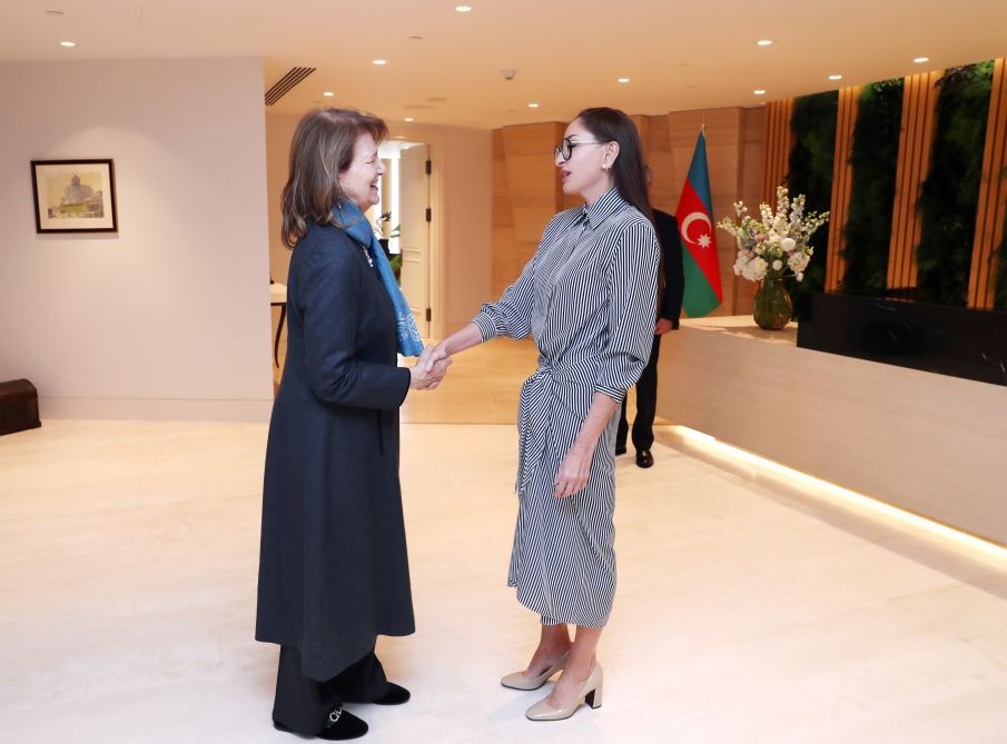 Birinci vitse-prezident Mehriban Əliyeva Böyük Britaniya Baş nazirinin Azərbaycan üzrə ticarət elçisi ilə görüşüb (FOTO/VİDEO)
