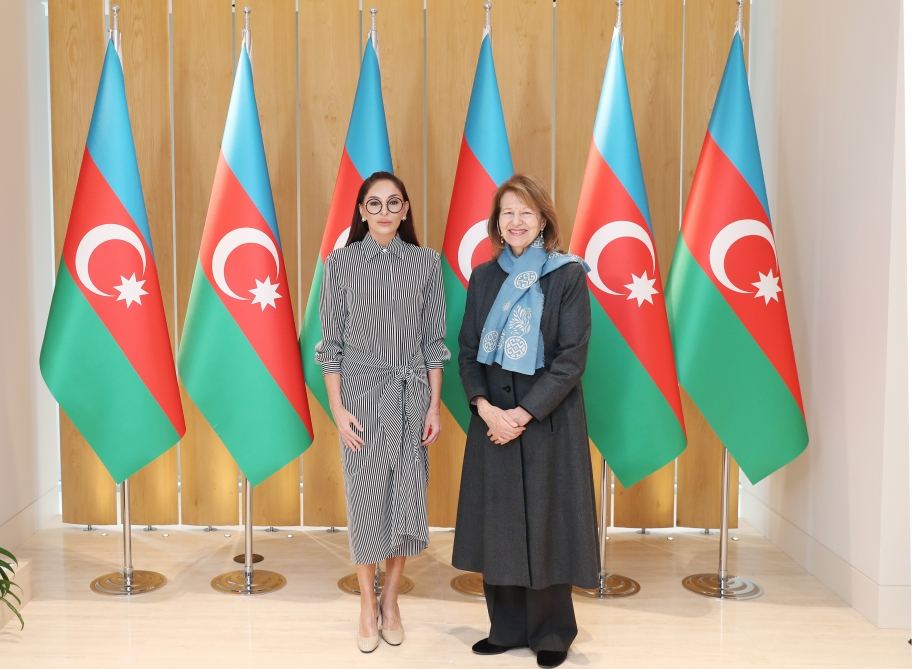 Birinci vitse-prezident Mehriban Əliyeva Böyük Britaniya Baş nazirinin Azərbaycan üzrə ticarət elçisi ilə görüşüb (FOTO/VİDEO)