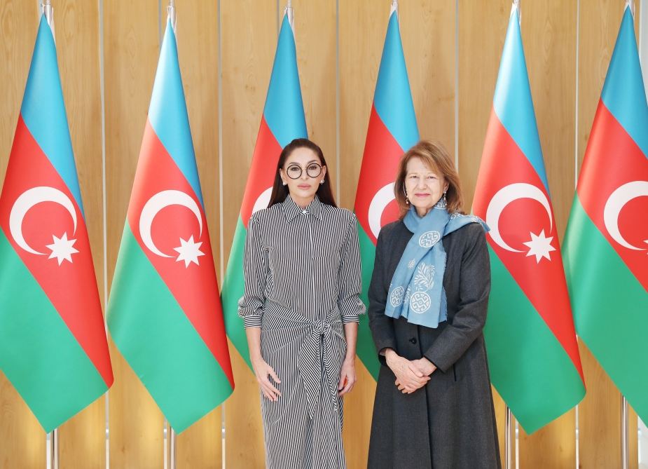 Birinci vitse-prezident Mehriban Əliyeva Böyük Britaniya Baş nazirinin Azərbaycan üzrə ticarət elçisi ilə görüşüb (FOTO/VİDEO)
