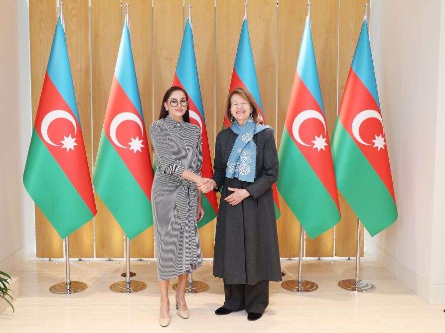 Birinci vitse-prezident Mehriban Əliyeva Böyük Britaniya Baş nazirinin Azərbaycan üzrə ticarət elçisi ilə görüşüb (FOTO/VİDEO)