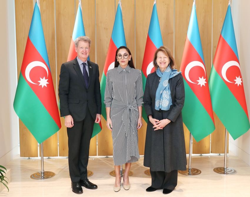 Birinci vitse-prezident Mehriban Əliyeva Böyük Britaniya Baş nazirinin Azərbaycan üzrə ticarət elçisi ilə görüşüb (FOTO/VİDEO)