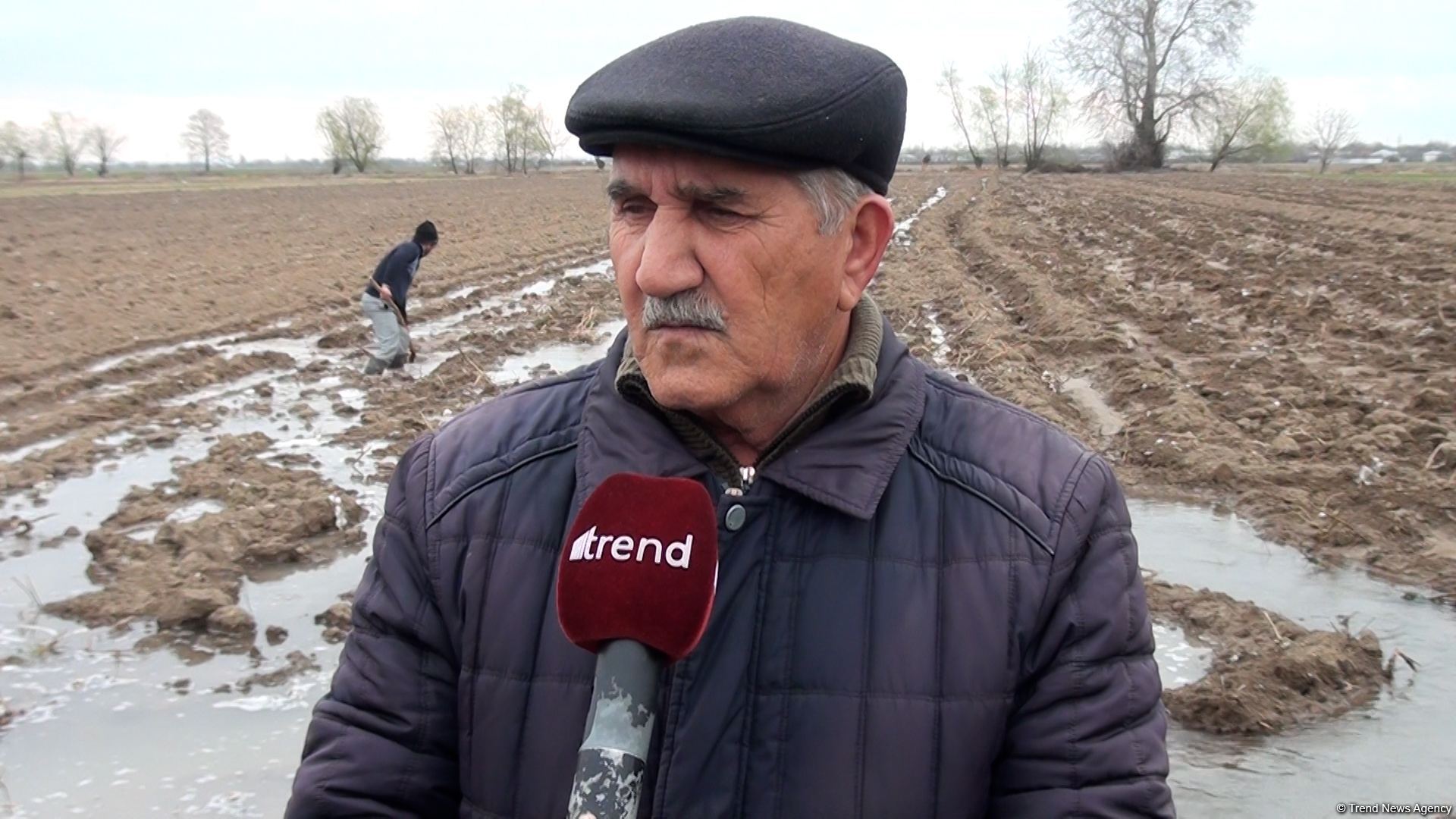 Əkin sahələri Qarabağdan gələn su ilə suvarılır - Trend TV-nin REPORTAJI