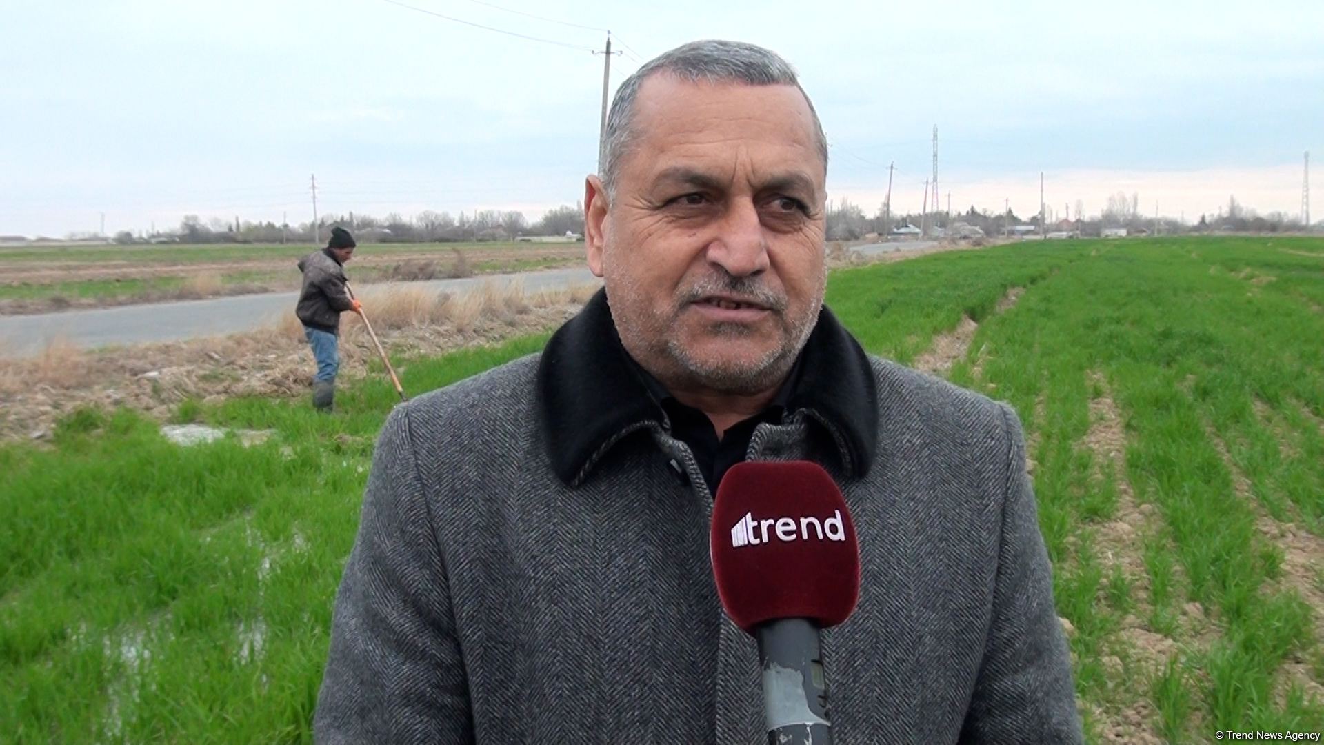 Əkin sahələri Qarabağdan gələn su ilə suvarılır - Trend TV-nin REPORTAJI