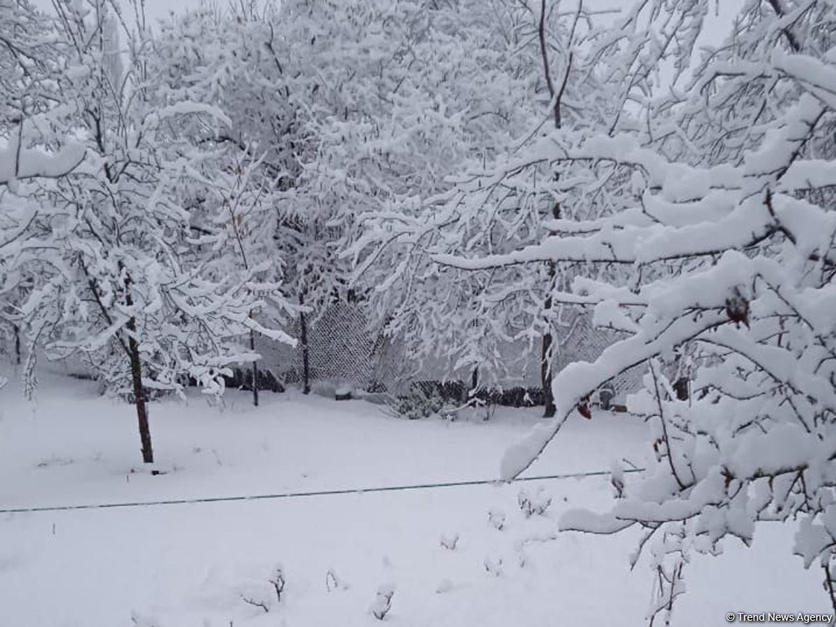 Bakıya leysan, dağlıq ərazilərə qar yağacaq