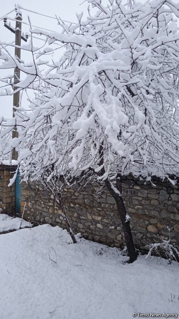 Qəbələyə qar yağıb (FOTO)