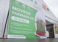 Novruz yarmarkasında qiymətlər necədir? (SİYAHI) (FOTO)