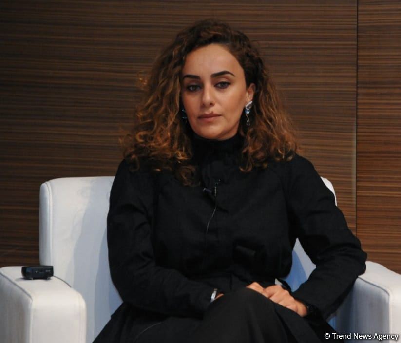 Anar Kərimov Şuşa ilə bağlı mədəniyyət layihələrindən danışıb (FOTO)