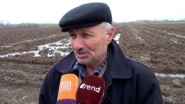 Azad edilmiş ərazilərdə artezian quyuları istifadəyə verildi - Fermerlər Prezident İlham Əliyevə təşəkkür edirlər (Trend TV-nin reportajı)
