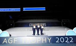 Bədii gimnastika üzrə Azərbaycan çempionatının böyüklər yaş qrupunda qaliblər mükafatlandırılıb (FOTO)