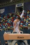 İdman gimnastikası üzrə Azərbaycan Birinciliyi və Bakı Çempionatında final gününə start verilib (FOTO)