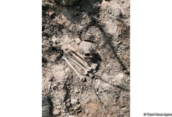 Ağdamda insan sümüklərinə oxşar skelet qalıqları tapılıb