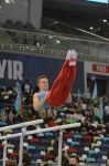 Bakıda keçirilən İdman Gimnastikası üzrə FIG Dünya Kubokunda Azərbaycan gimnastlarının nəticələri (FOTO)