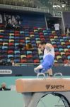 Bakıda İdman Gimnastikası üzrə Dünya Kubokunun ikinci günü start götürüb (FOTO)