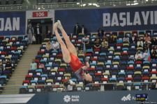 Bakıda İdman Gimnastikası üzrə Dünya Kubokunun ikinci günü start götürüb (FOTO)