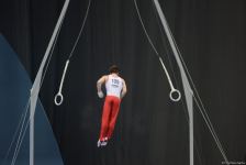 Azərbaycan gimnastı Dünya Kubokunda bürünc medal qazanıb (FOTO)