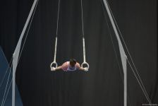 Azərbaycan gimnastı Dünya Kubokunda bürünc medal qazanıb (FOTO)