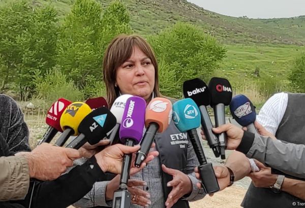 Oxçuçayda çirkələnmələr bu gün də davam edir - Umayra Tağıyeva