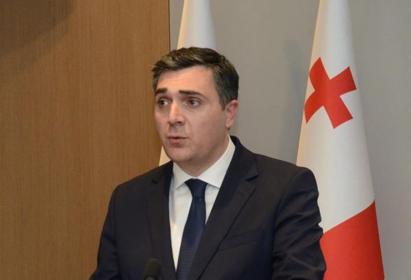 Gürcüstan Bakı və İrəvan arasında delimitasiya prosesini başlatmaq barədə tarixi qərarı alqışlayır