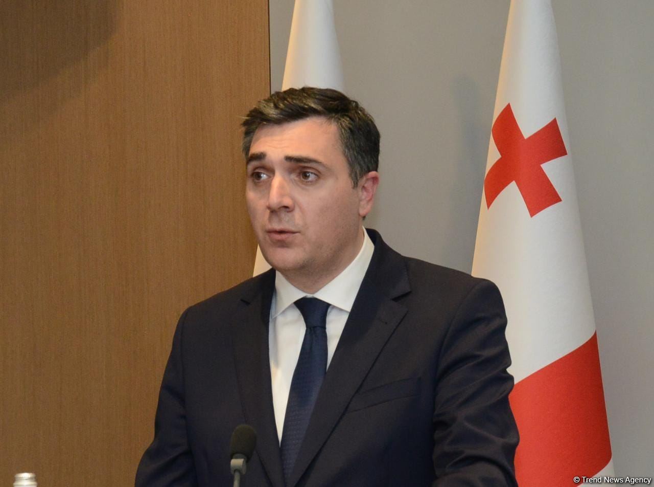 Azərbaycan və Gürcüstan dostluq münasibətlərinin inkişafı və möhkəmləndirilməsi üçün daha böyük potensiala malikdirlər - XİN rəhbəri