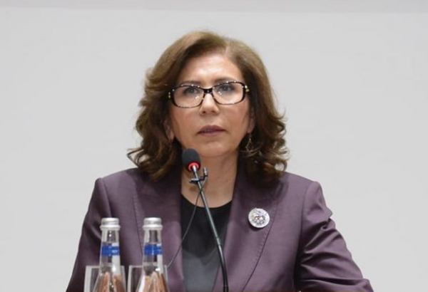 Qadınların fəaliyyət sferası genişləndiriləcək - Bahar Muradova
