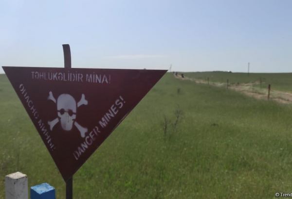 Azərbaycan diaspor təşkilatları Ermənistanın mina terroru ilə bağlı bəyanat yayıb