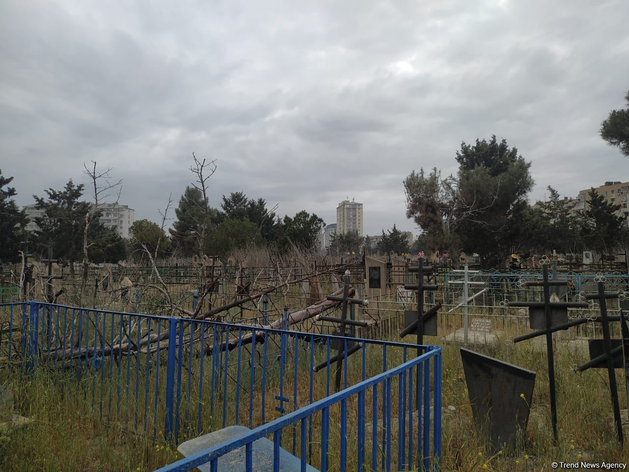 Bakıda qəbiristanlıqda yanğın olub (FOTO)