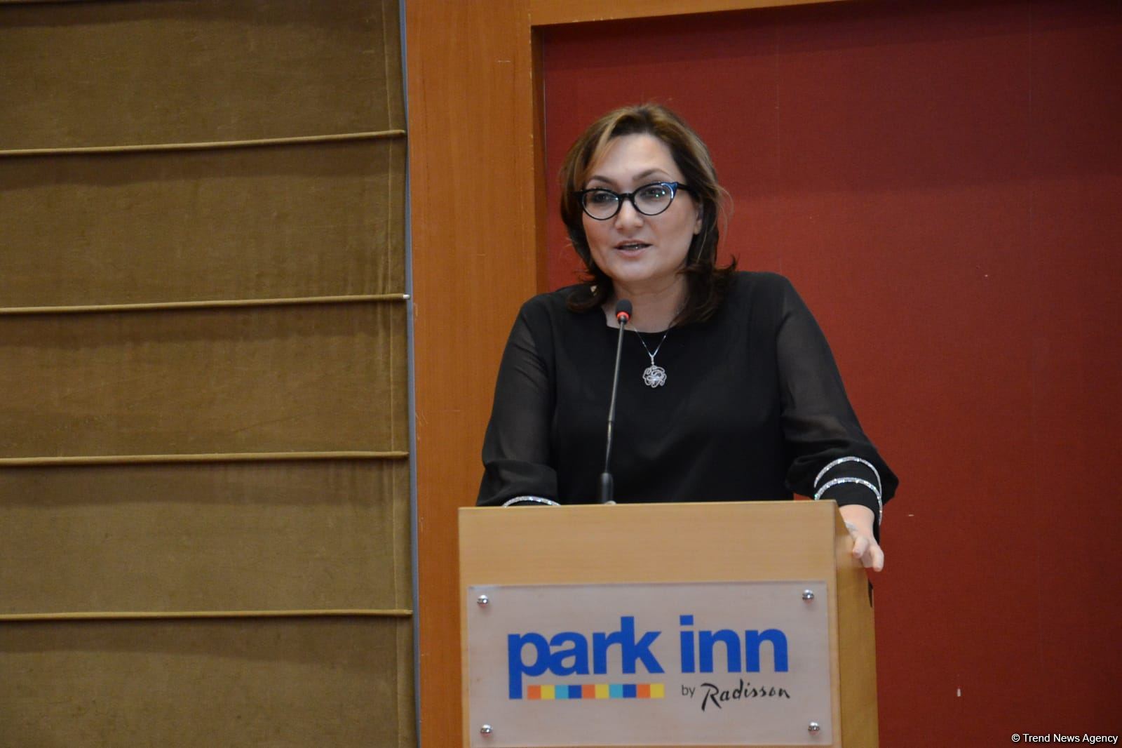 Azərbaycanda BMT TŞ-nin Qadınlar, Sülh və Təhlükəsizlik üzrə Qətnaməsinin Milli Fəaliyyət Planı hazırlanır (FOTO)