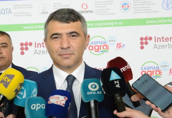 Builki sərgilərə xarici şirkətlər tərəfindən böyük maraq var - Nazir